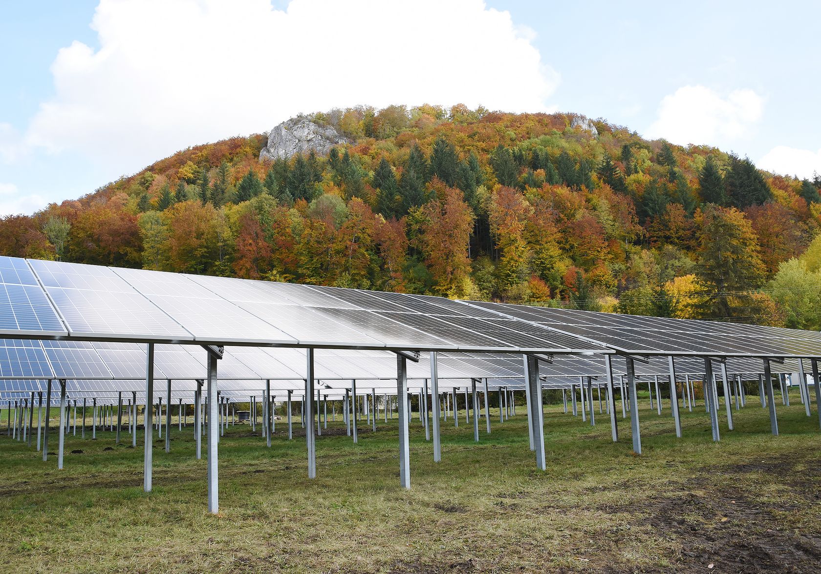 Solarpark inmitten grüner bewaldeter Landschaft